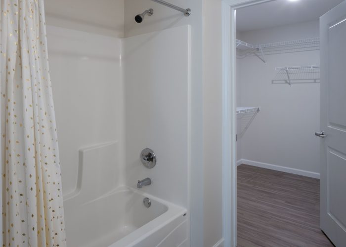 high-end apartment bathroom and walk-in closet