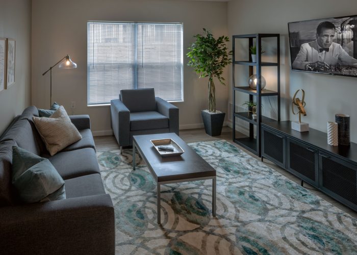 high-end interior apartment living room